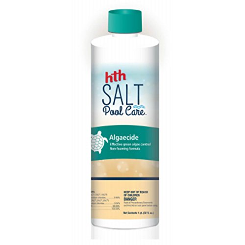 HTH 67002 Algaecide Salt Swimming Pool Cleanser, 1 qt
