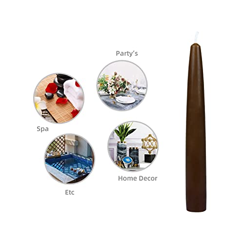 Zest Candle 12-Piece Taper Candles, 6-Inch, Brown #TOP5