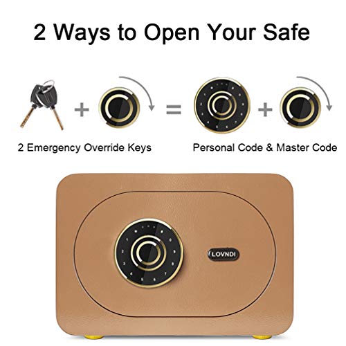 Lovndi Security Safe Box 1.0 Cubic Feet, Digital Safe Electronic Home Safe with Keypad, 15.7 x 11.8 x 10.6 inches, Gold
