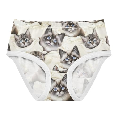 Joisal Cotton Toddler Underwear Floral Cute Kittens Cream Panties Little Girl Pattern Briefs Girls Undies 2t