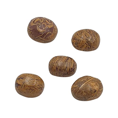 Jaspe Sang-E-Maryam 48,40 carats : lot de 5 pierres naturelles de Maryam - 2