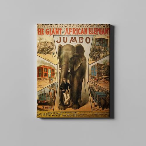 Toile éléphant de cirque Spiffing Prints M pour décoration salon vintage