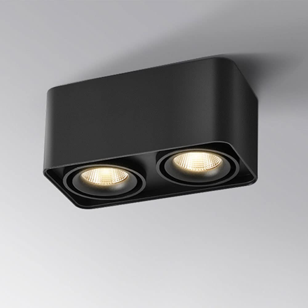 2-Lights LED Ceiling Light Aluminum Anti-Glare Ceiling Lights Irradiation Angle Adjustable Ceiling Lamp Surface Mounted Ceiling Light Fixture for Shop Corridor Living Room