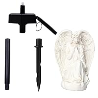 Traces of the Past 1582354618 Book Cover