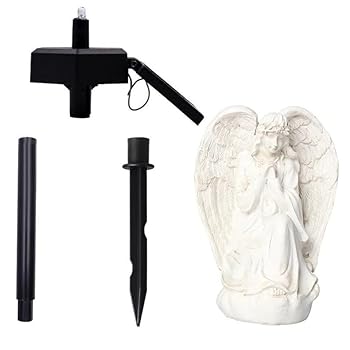 Hardcover Traces of the Past Book