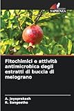 Edizioni Sapienza