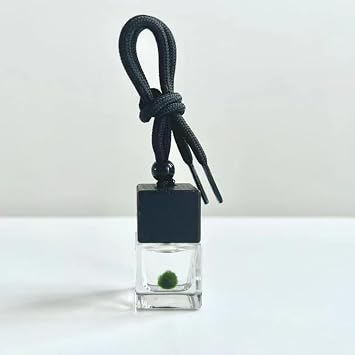 Artificial Mini Baby Marimo Moss Ball, Cute Decor, for Classmates & Kids Friends - Black