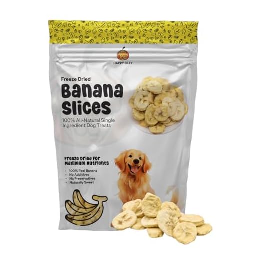 Happy Olly Freeze-Dried Banana Slices for Dogs | 100% Natural Single-Ingredient, Freeze Dried, Vegan Dog Treats | Grain-Free & Gluten-Free | Healthy, Digestive Support | 3 oz Bag