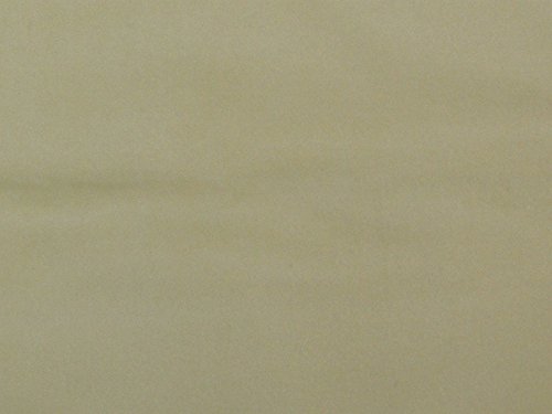 SyFabrics 100% Cotton Velvet Fabric 56 inches Wide Ivory