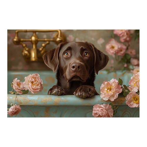 Poster Labrador chocolat dans une baignoire bleue 70x100cm