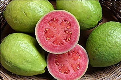 Delicious Pink Flesh Guava 100 seeds (B07PZYH3R9) Amazon Price History, Amazon Price Tracker