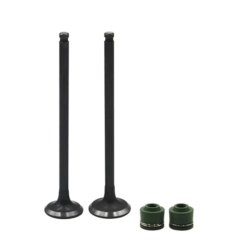 Kit joint d'huile de tige de soupape FZR250 anti-fumée bleue