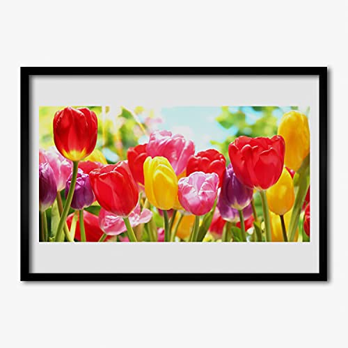 Affiche encadrée 70x50 cm tulipes sous cadre MDF pour decoration murale