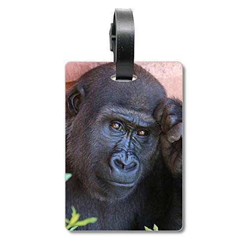 Étiquette valise chimpanzé et sac animaux sauvages durable