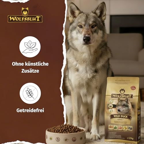 WOLFSBLUT – Wild Duck Adult | Trockenfutter mit natürlichen Zutaten und Superfoods für ausgewachsene Hunde. Getreidefreies Alleinfutter ohne Zusatzstoffe im Beutel | 2kg Ente