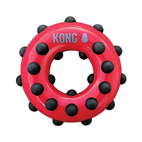 KONG – Dotz Circle – Hundespielzeug zum Kauen und zur Zahnreinigung – Für Große Hunde