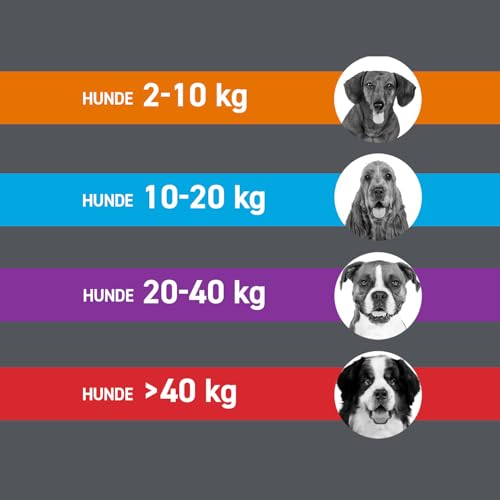 FRONTLINE Combo Hund S gegen Zecken, Flöhe & Haarlinge (kleine Hunde 2 bis 10 kg) - 3X Pipetten für bis zu 3 Monate Schutz - auch gegen Floheier, Larven & Puppen im Haushalt - wasserfest