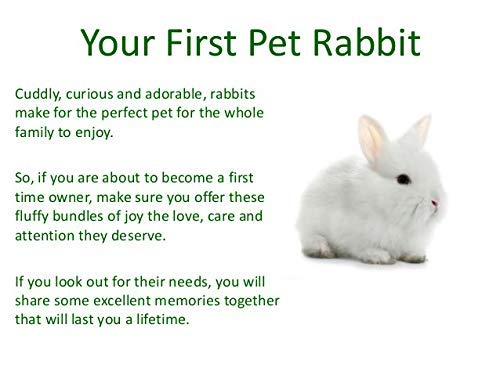 Image of Pet Care International (PCI) Supplement for Hamster (Alfa Pellet 400Grm)