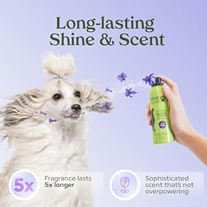 PAWFUME-Premium-Grooming-Spray-Dog-Spray-Deodorizer-Perfume-For-Dogs-Dog-Cologne-Spray-Long-Lasting-Dog-Sprays-Dog-Perfume-Spray-Long-Lasting-After-Bath-Dog-deodorizing-Spray-Lavender - Cucciolini Doodles   PAWFUME-Premium-Grooming-Spray-Dog-Spray-Deodorizer-Perfume-For-Dogs-Dog-Cologne-Spray-Long-Lasting-Dog-Sprays-Dog-Perfume-Spray-Long-Lasting-After-Bath-Dog-deodorizing-Spray-Lavender