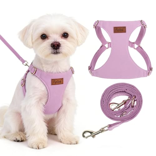 PUPTECK Dog Harness and Leash Set Small Sized, Lightweight Step-in Puppy Harness, Escape Proof No Pull Cute Pet Vest Harnesses, Purple XS