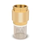 Foot Valve with Filter 2