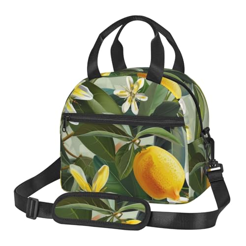 fM`obO CG[t[vg jp ėp\ ۉN[[ `g[gobO d sNjbN s r[` ނ