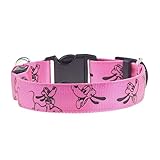 Eizur Regulierbar LED Hundehalsband Sicherheits Leuchthalsband - 2