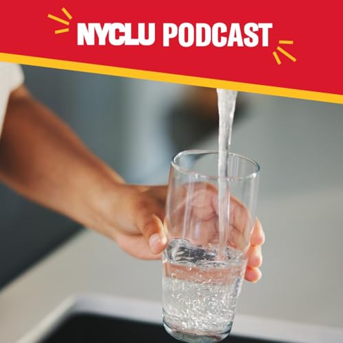 What&rsquo;s Causing New York&rsquo;s Lead Crisis? With Shannon Burkett