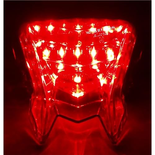 Luz trasera LED integrada con intermitentes dinámicos S1000RR HP4 4