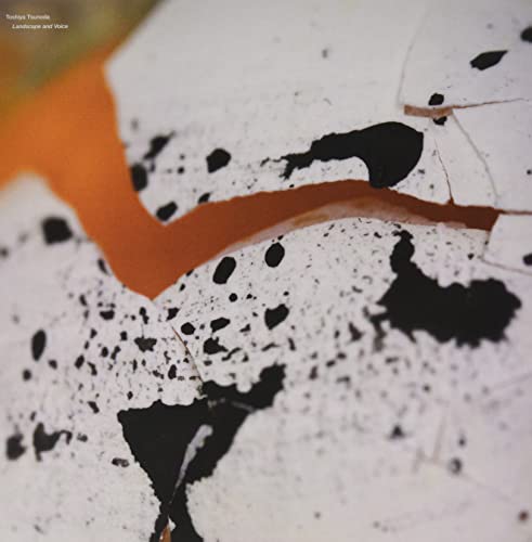 Family$ Black Truffl Toshiya Tsunoda-Landscape And Voice Lp