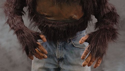 Zagone Studios Men's Chimp Gloves