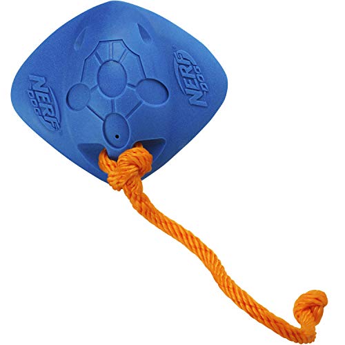 Nerf Dog Tug Ray Dog Toy With Interactive Squeaker, Lightweight, Durable And Water Resistant, 14 Inches, For Medium/Large Breeds, Single Unit, Blue #TOP1