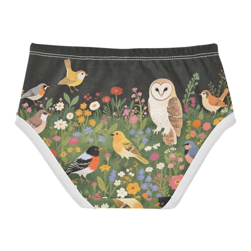 Brief Panties Panties Training Briefs Underwear for Toddlers in Sizes 2T,3T, 4T, 5T, 6Y and 8Y2