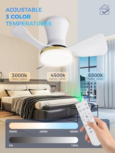 Image of LANMEL 22 Inch Flush Mount Ceiling Fan with Light and Remote, Low Profile Modern Ceiling Fan, 6 Speed, Reversible, 3000k-6500k Dimmable LED, Quiet DC Motor for Indoor Outdoor, White Gold