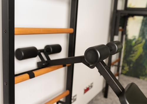 BenchK 223B Wall Mounted Gym Ladder