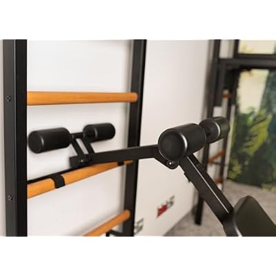 BenchK 223B Wallbars, Stall Bars, Swedish Ladder, Gymnastic Ladder with Fixed Steel 6-Grip Pull Up Bar, Chin Up Bar, Dip Bar, Dip Station with Polyurethane Back Support and Advanced Workout Bench