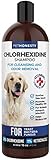 PetHonesty Chlorhexidine Shampoo - Ketoconazole & Aloe for Dogs & Cats - Helps Itching, Hot Spots, Ringworm, Pyoderma & Allergies, Sensitive Skin, Deodorizing Dog Shampoo, Dog Grooming Supplies - 16oz