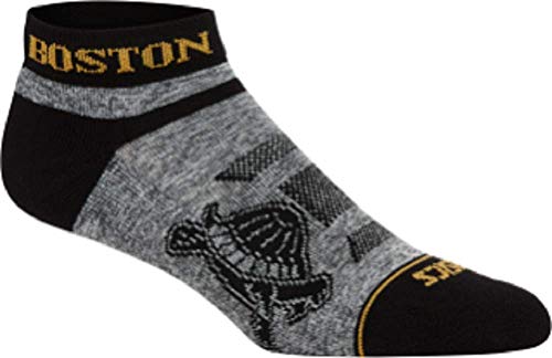 ASICS Boston No Show Socks (L)