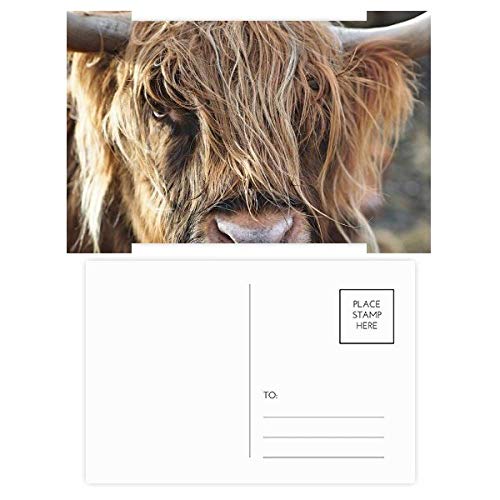 Cartes de remerciement animaux sauvages idéales après un anniversaire ou une fête