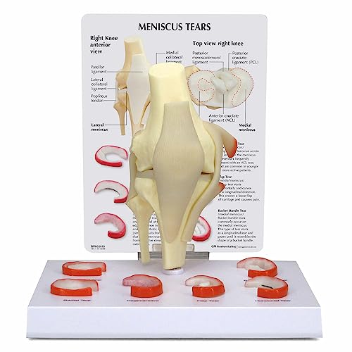 ̐ɓKG֐ߖ͌^C6̑tCGf