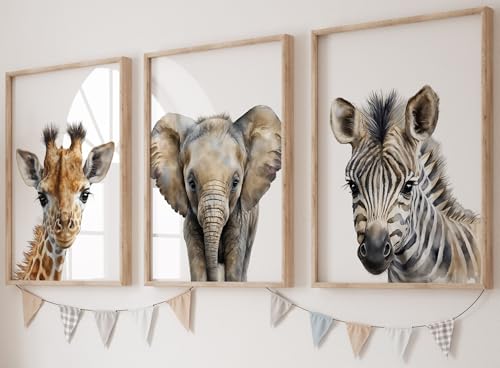 Safari Animals Set of 3 Unframed Poster Prints, Baby Girl Bo