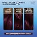 Clairol Nice'n Easy Permanent Hair Dye, 3RV Darkest Burgundy Violet Hair Color, Pack of 1