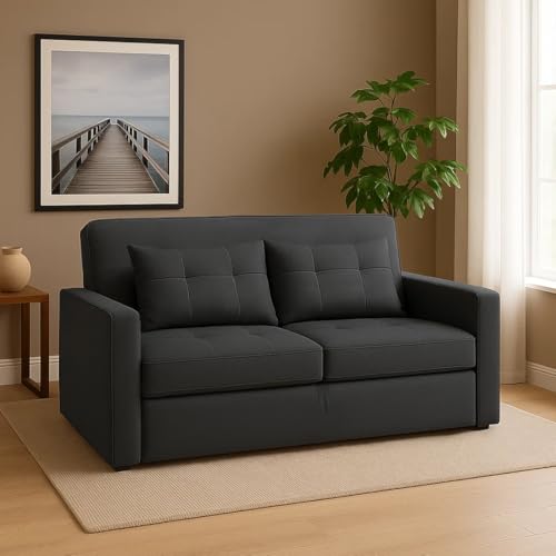 Image of CASASTYLE Trissa 2 Seater Pull-Out Premium Fabric Sofa Cum Bed Sofa Set for Living Room (Dark Grey Fabric)