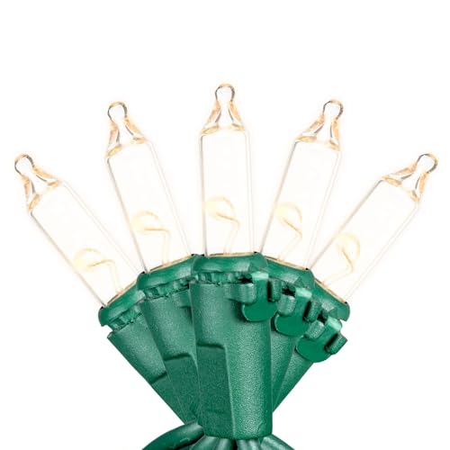 Novelty Lights RetroGlo® LED Mini Lights, 10 Clear Bulbs on Green Wire, 5.5ft with 4