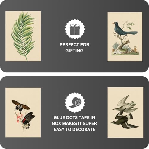Image of Funk You Store Vintage Botanical Prints Wall Art (Set of 12) - Botanical Plant Poster, Butterfly Pictures Bird Art Sunflower Fern Prints, Flower Painting Home Bedroom Decorations (D 024)