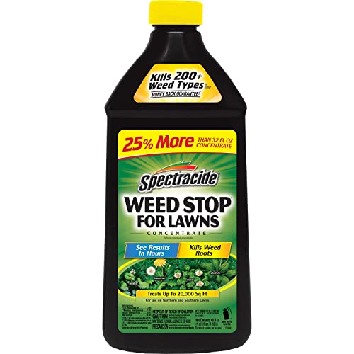 Find The Best Lawn Weed Killer Concentrate Reviews & Comparison Katynel