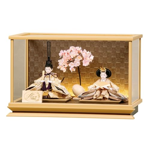 l` RpNg Lv ЂȐl` P[X e  Hqe ANP[X LEDt h083-mo-333790 HJ-206