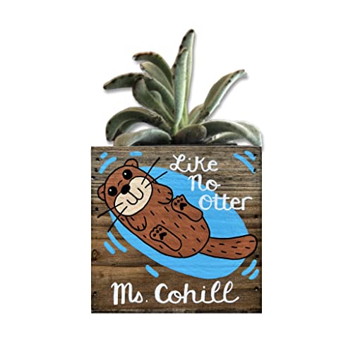 Otter Box Personalized Bin Succulent Planter Cute River Sea Otter Custom Teacher Thank You Graduation Gift