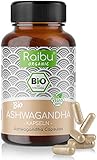 ✅ WIRKSTOFF IN BESTER BIO QUALITÄT - Bei uns bekommst Du die beste Premium Qualität! Unser Bio-Ashwagandha wird in bio zertifizierten Anbaugebieten in Indien angebaut und dann in Deutschland nach höchsten HACCP-Standards weiterverarbeitet und abgefüllt.