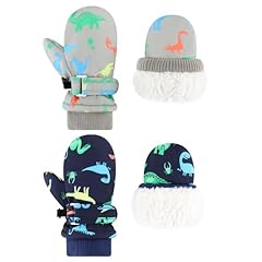 Printed Dinosaur Navy + Gray